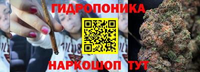 МДПВ Рыбинск