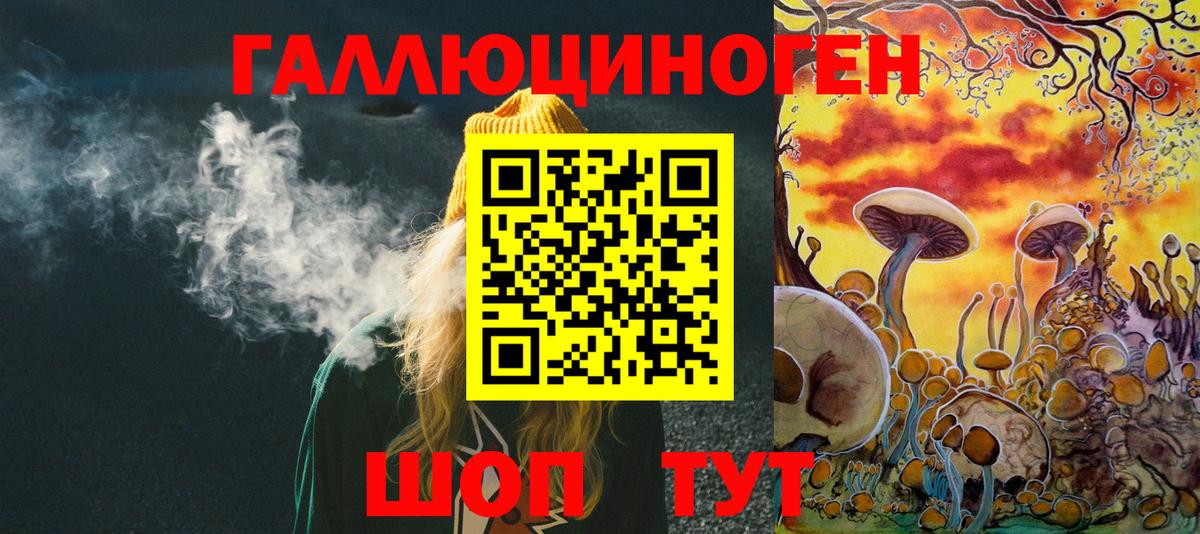 Пугачёв  Псилоцибиновые грибы Psilocybine cubensis  Вход с VPN  Галлюциногенные грибы Psilocybe 