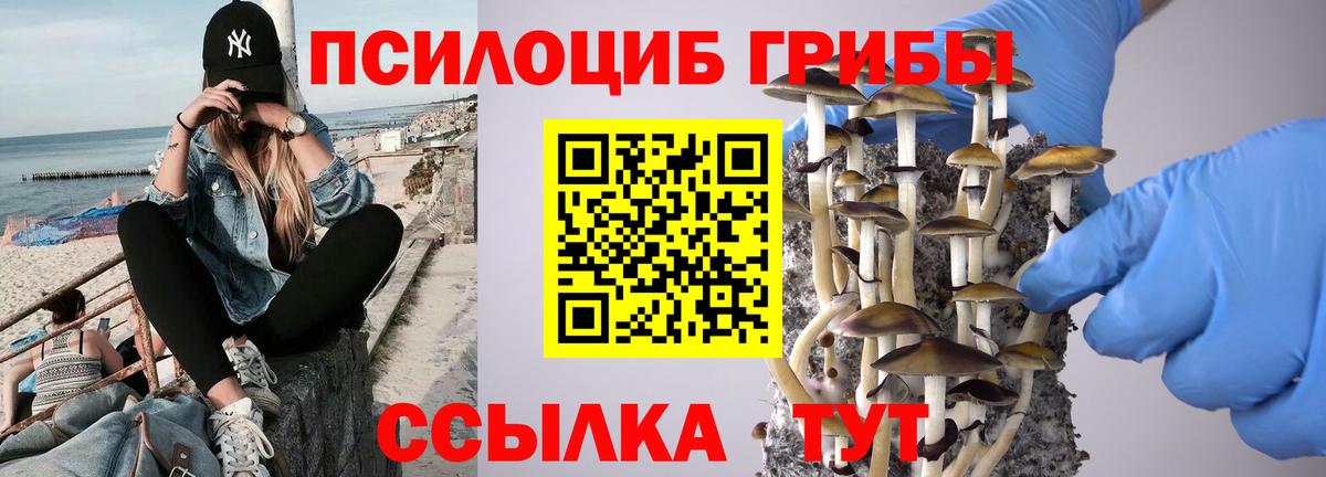 Галлюциногенные грибы Psilocybine cubensis Пугачёв